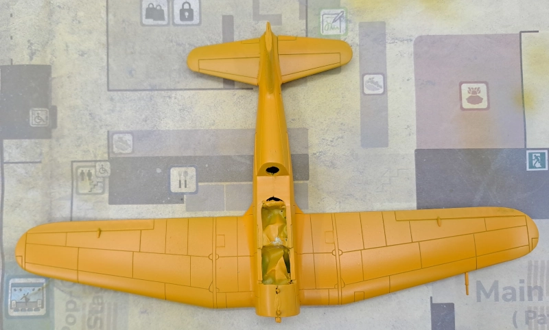 model in eerste kleur